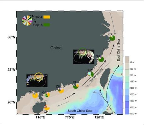 廈門在衡水哪個方向：地緣文化與地理方位的探討